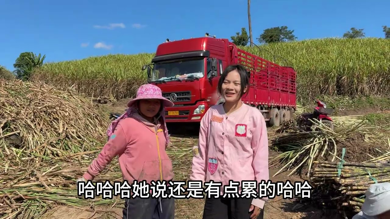 丈母娘家农忙村里人互帮互助，以种地为生活的村子是什么样的？