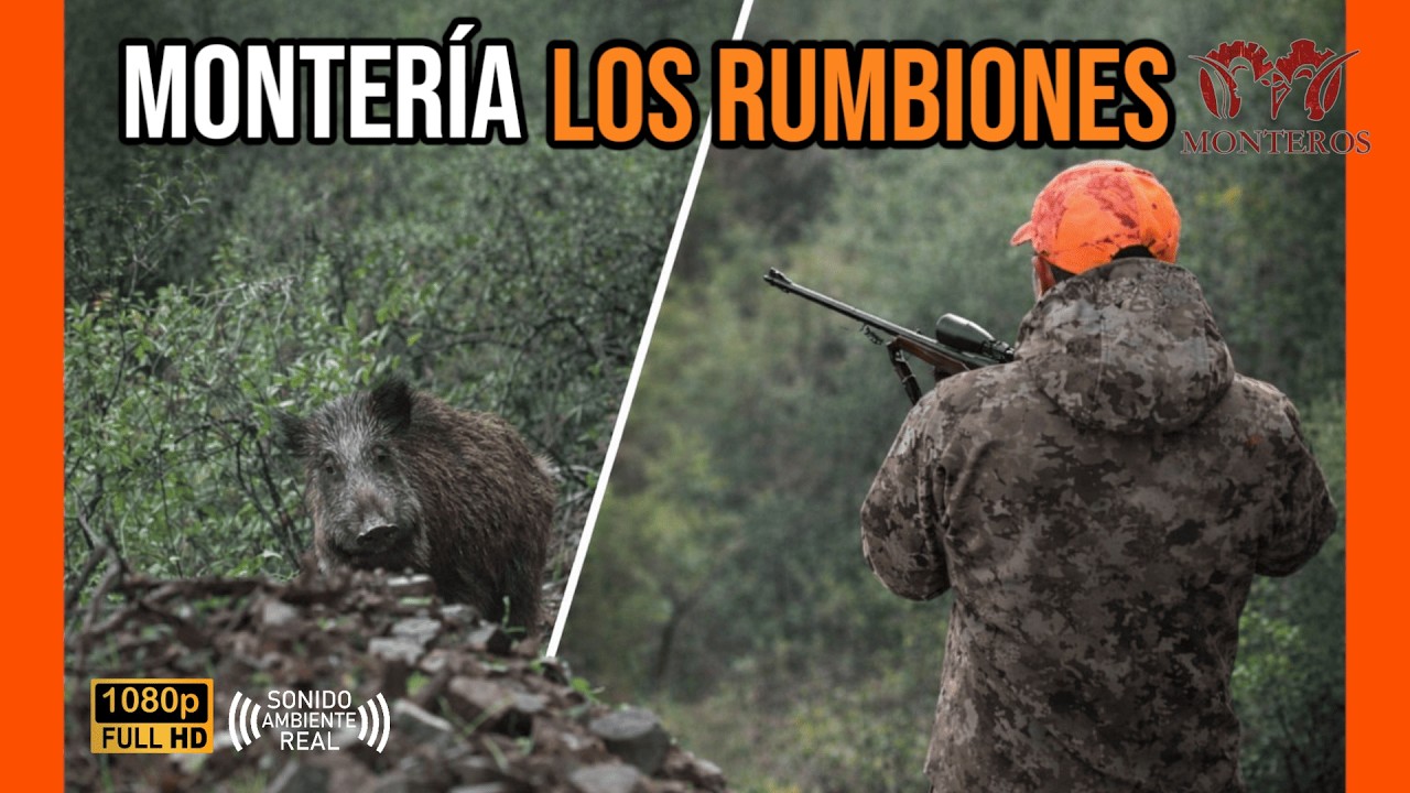 MONTER&Iacute;A LOS RUMBIONES 2025 | CINEG&Eacute;TICA MONTEROS #311