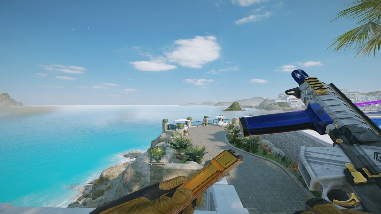 The best gun in Siege
