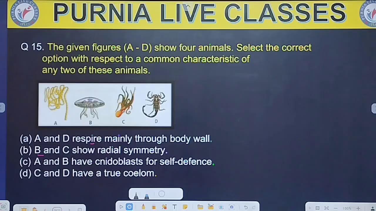 NEET I ZOOLOGY I ANIMAL KINGDOM I LECTURE 2 | CONCEPT &  MCQS