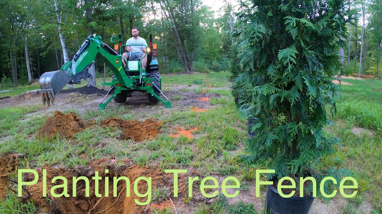 Planting Green Giant Arborvitae with the John Deere 2025R ***