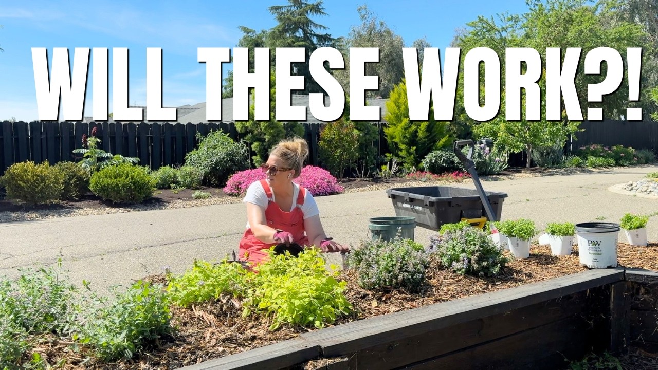 Planting My Trial Garden: No Pressure, Just Testing Plants