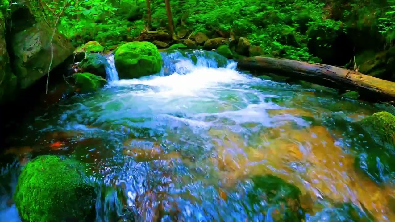 Piano Music for Stress Relief, Healing, Meditation #relaxingmusic #relax #viral #viralvideo