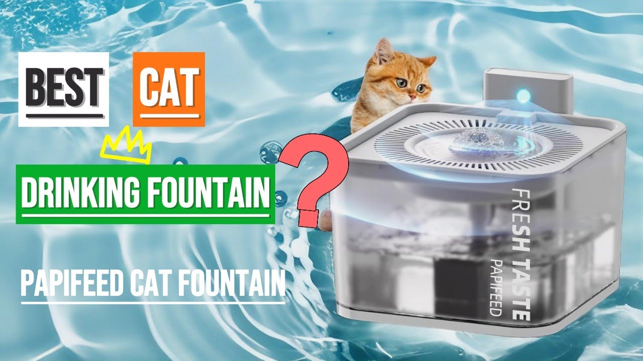Best Cat Drinking Fountain? PAPIFEED Smart Pet Hydration System Review