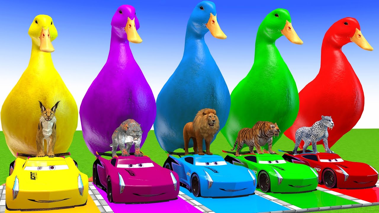 5 Giant Duck Cartoon, Cow, Giraffe, Elephant, Lion, Paint Wild Animals Crossing Fountain Animation 2