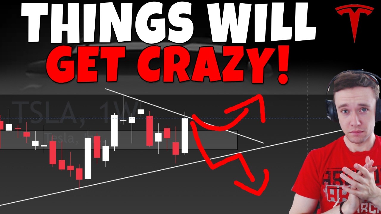 Stock Technical Analysis on TSLA, SPCX, PLTR, HOOD, SOFI, NFLX, META