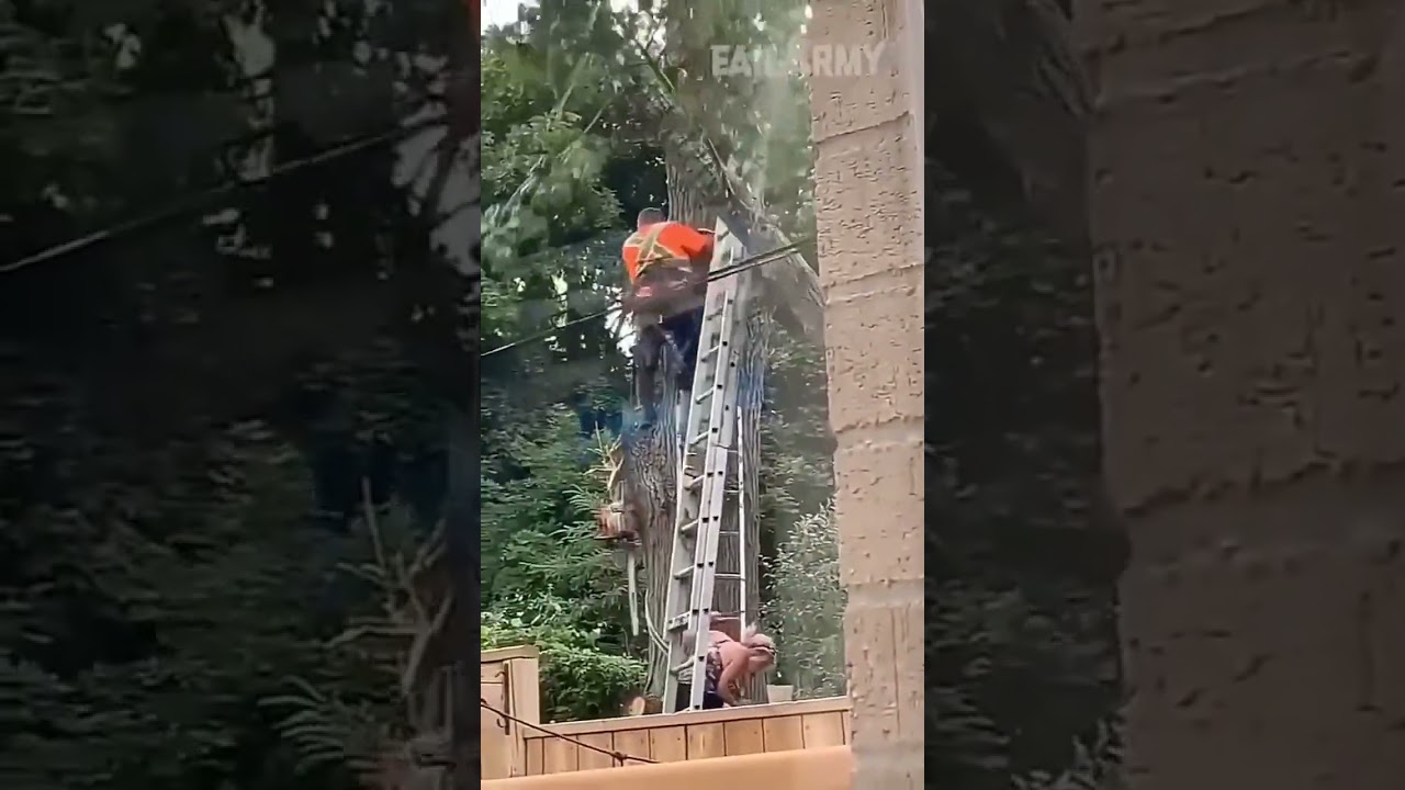 Lawyer Reacts To Work Accident😰 #lawyer #workerscompensation #funny #ny #workinjury #accident #law
