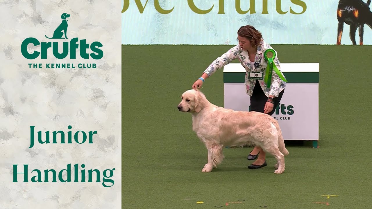 Can't get enough of them!! 🐶 International Junior Handling Competition Part 2 | Crufts 2024