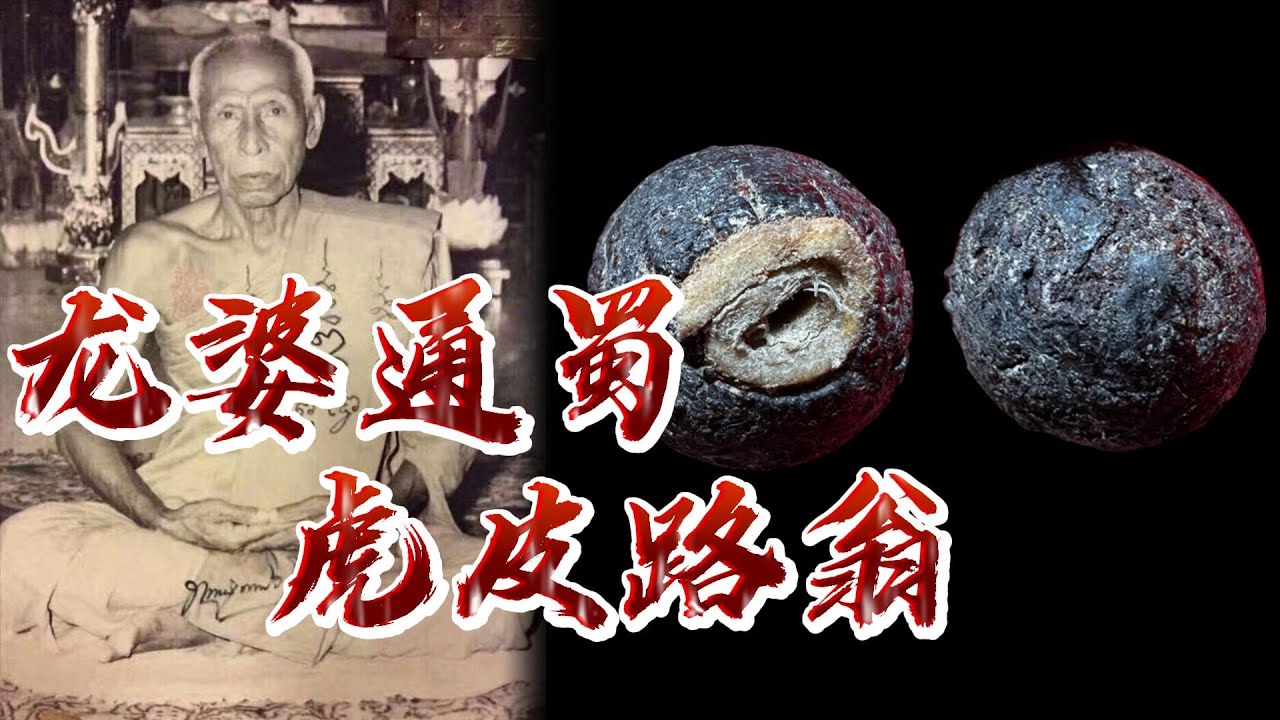 泰国佛牌高僧龙婆通蜀，虎皮路翁佛牌，全泰九大顶级冠兰之一，瓦达闹龙寺庙