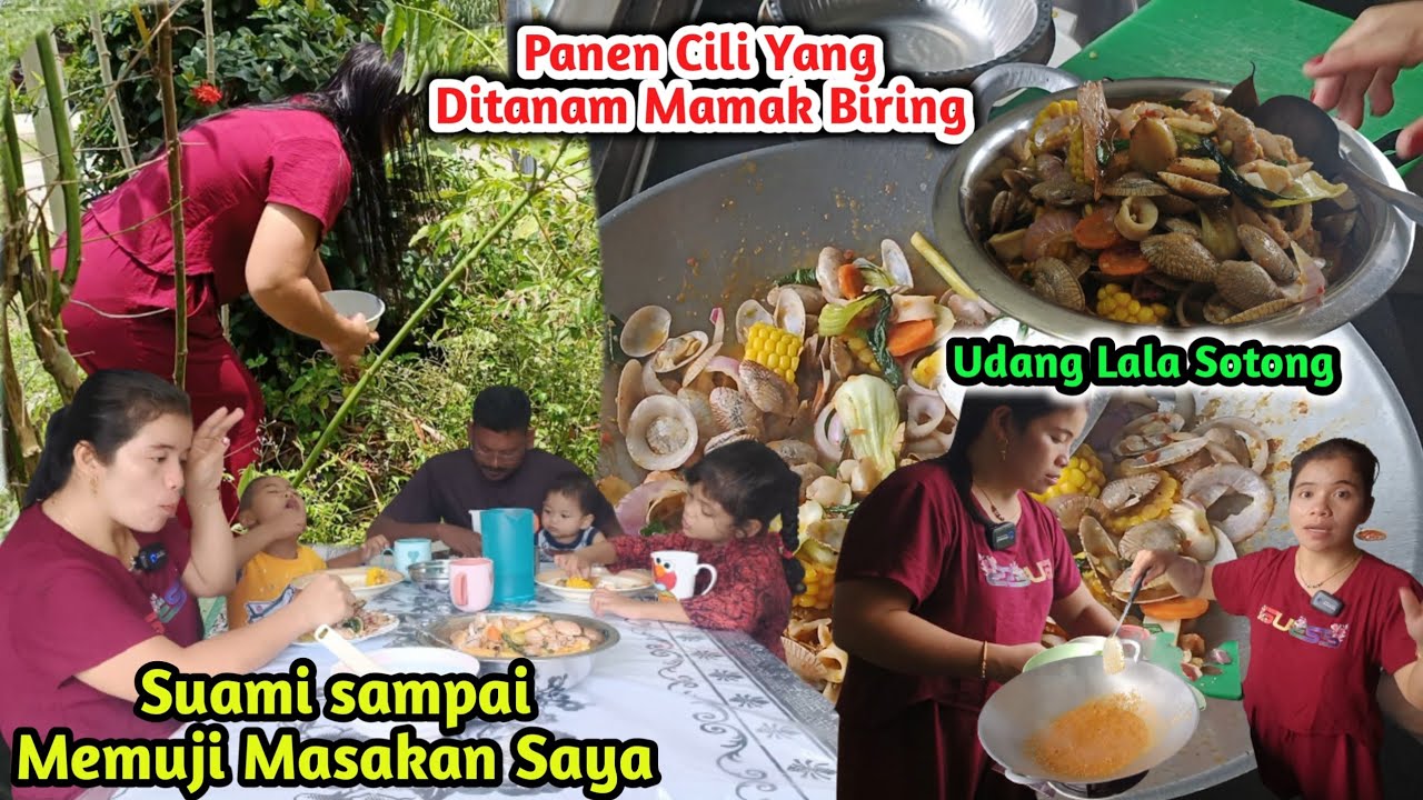 Pertama Kali Masak ShellOut Saus Padang Di Rumah || Suami Puji Melambung
