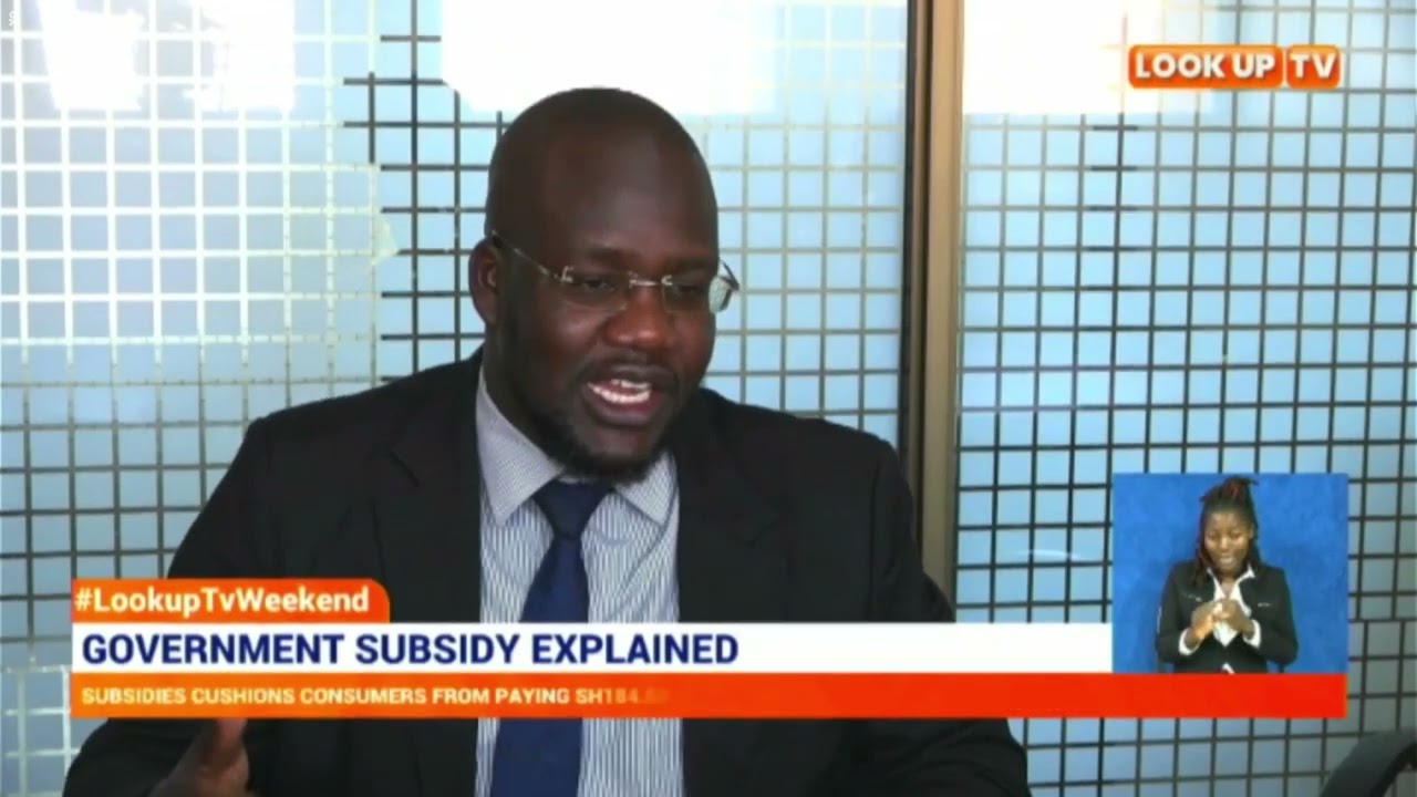 Government subsidy explained