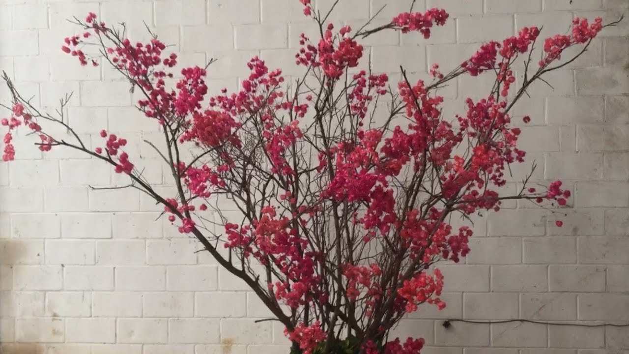 Como fazer arvore desidratada ( arvore francesa) ‹ Art Fleur ›