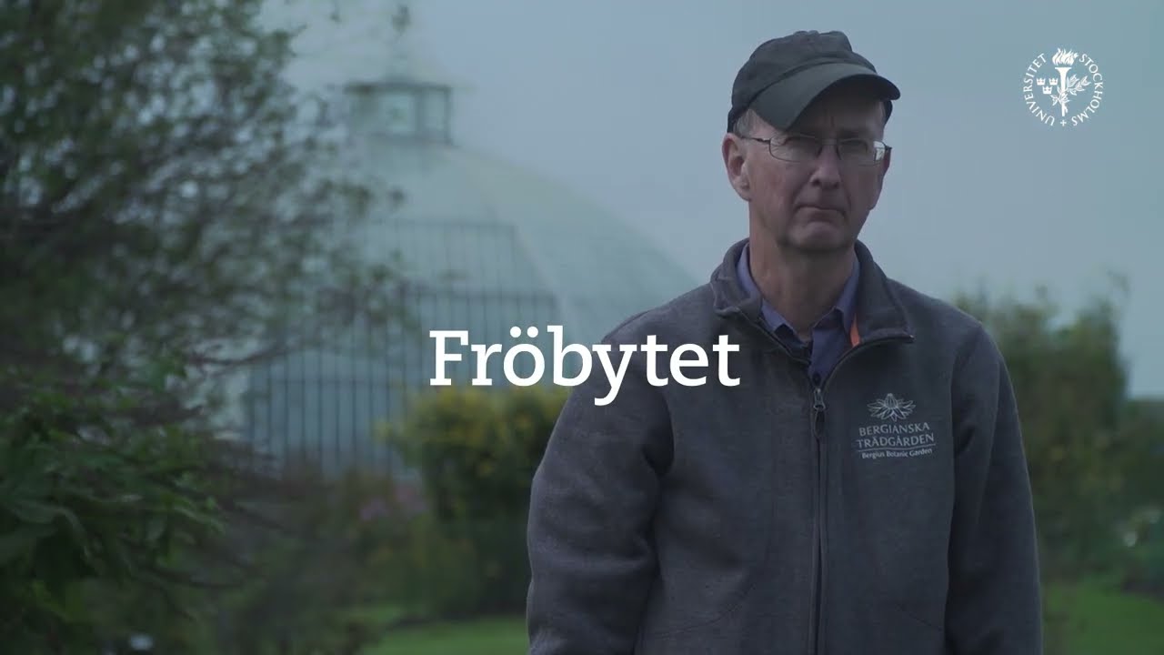 Ska vi byta fröer med varann?