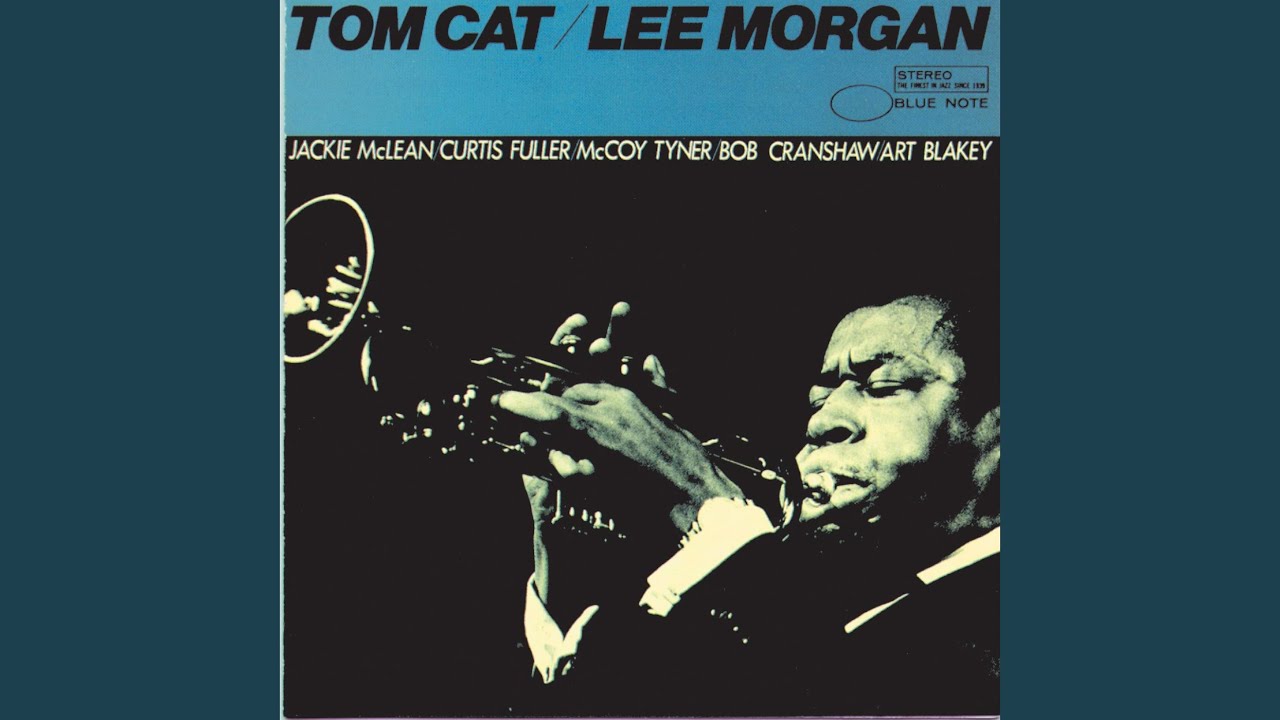 Tom Cat