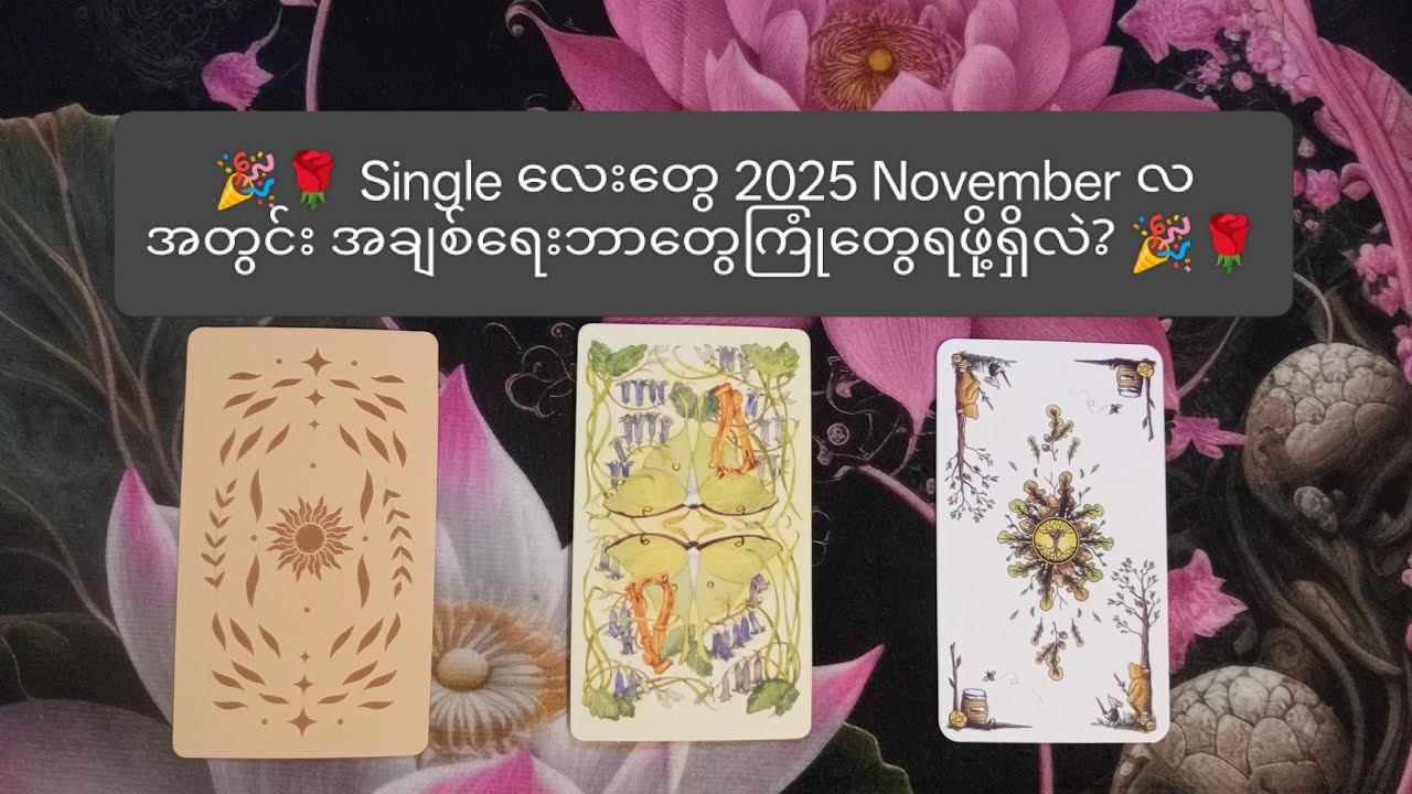 🌹သင် 2025 နို၀င်ဘာလအတွင်း အချစ်ရေးဘာတွေကြုံတွေဖို့ရှိလဲ? 🌹