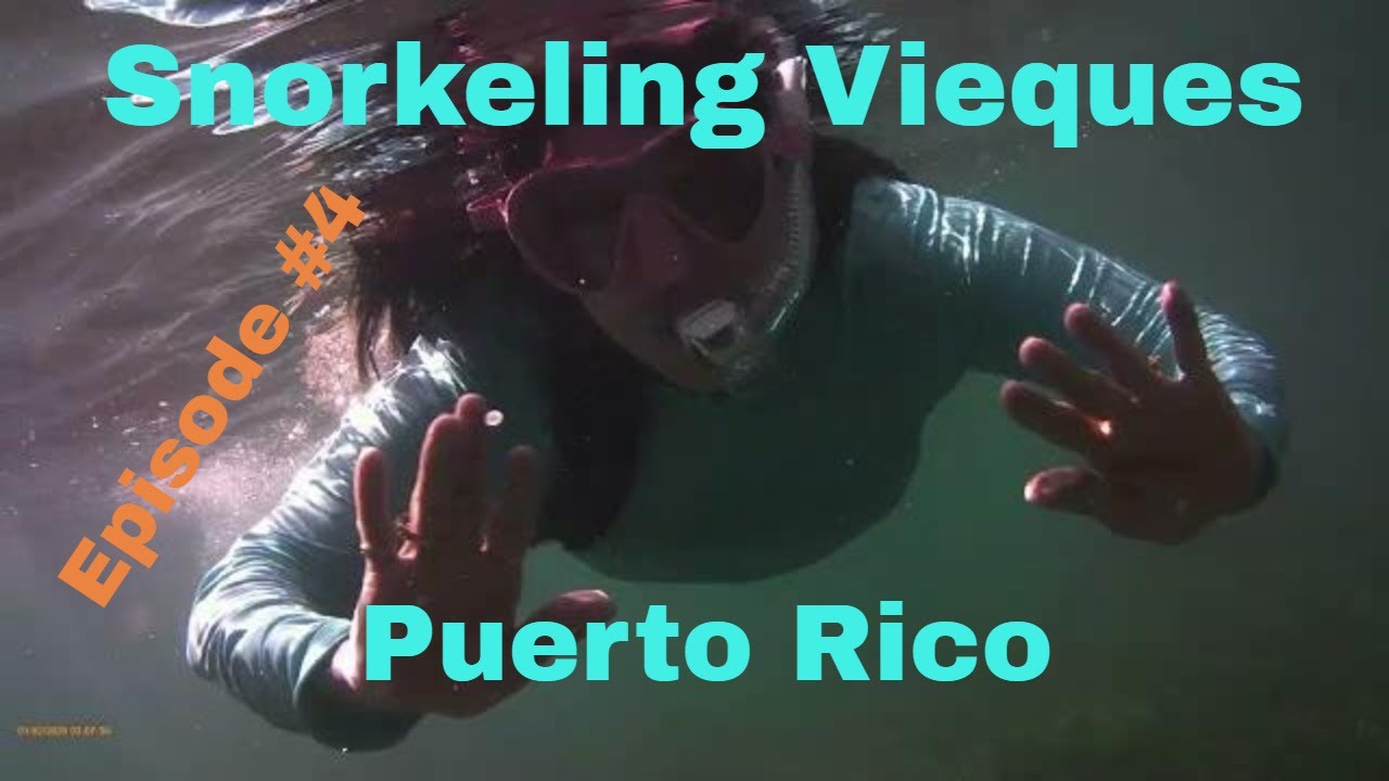 Best Snorkeling on Vieques Island, Puerto Rico Part II - #vieques #puertorico #snorkeling