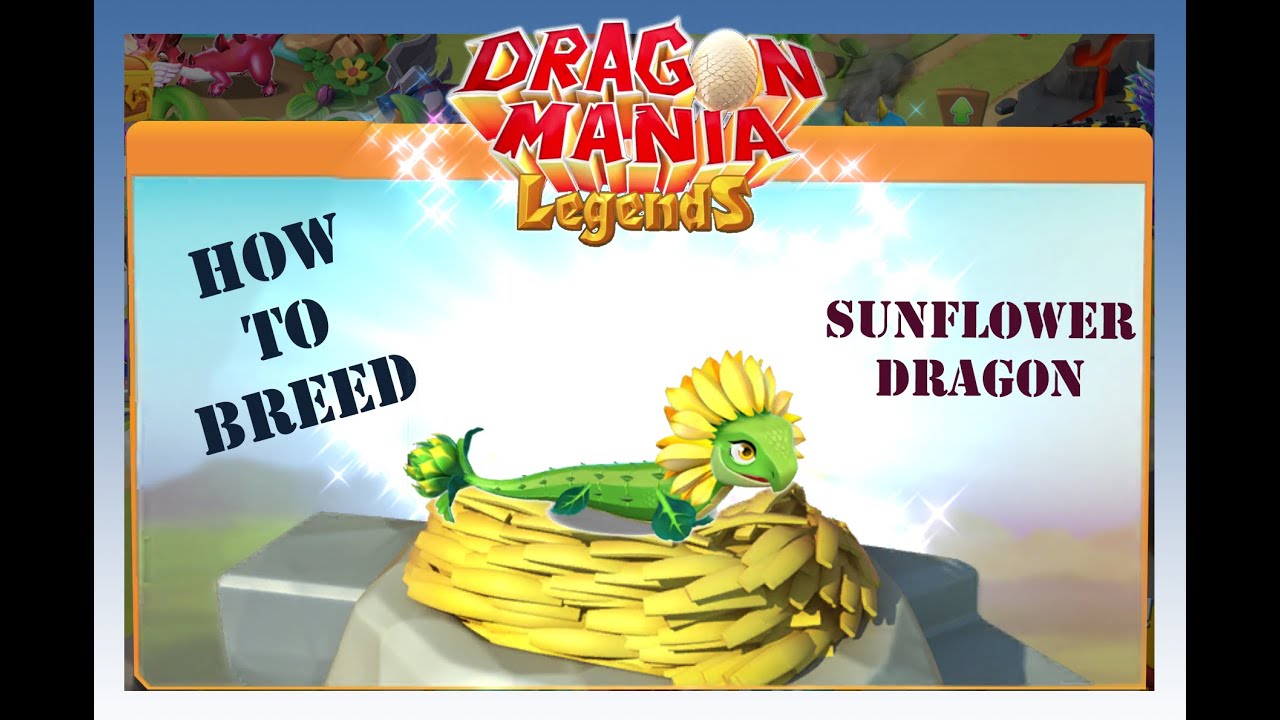 🎁 Breed SUNFLOWER DRAGON -  Dragon Mania Legends