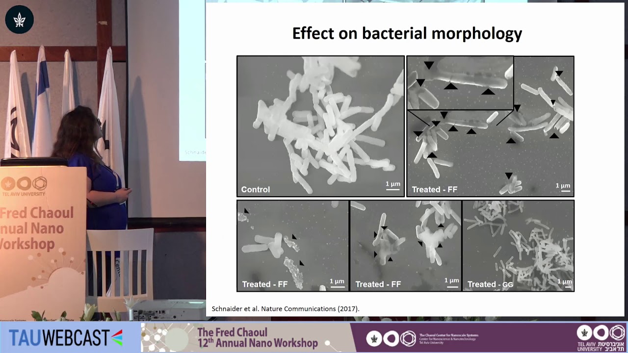 Design and Development of Self-Assembling Antibacterial Peptide NanoStructures and Functional...
