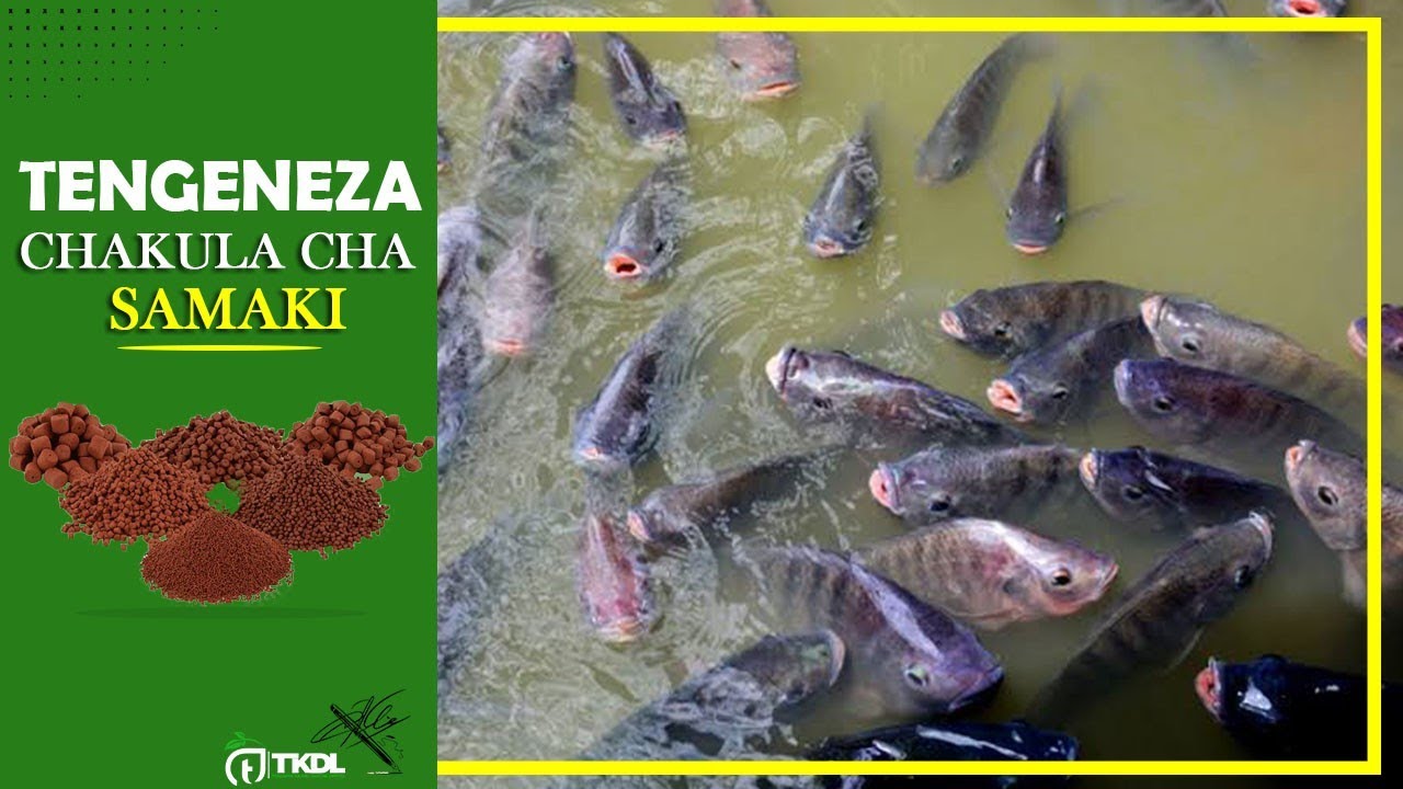 JINSI YA KUTENGENEZA CHAKULA BORA CHA SAMAKI