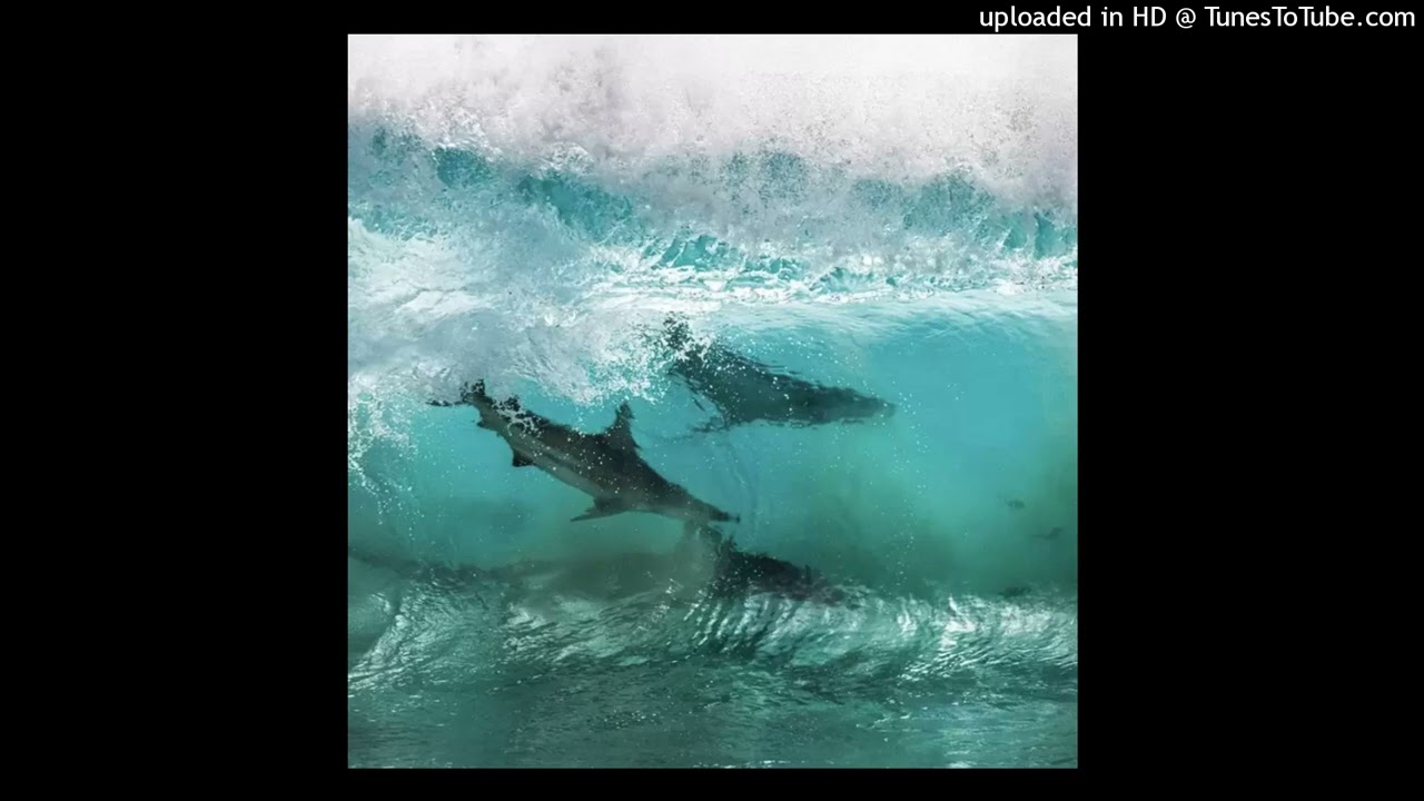 Wheezy + Young Thug + Gunna type beat “Surfing”