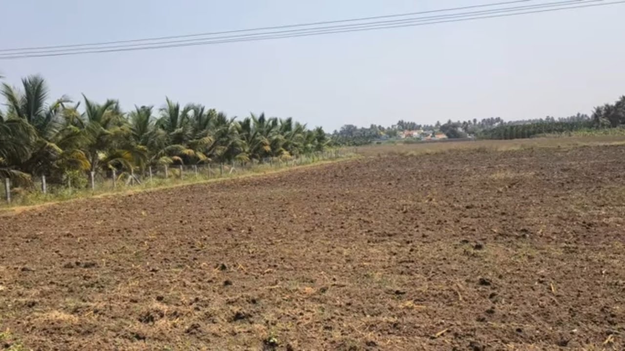 ஈரோடு(மா)நம்பியூர்(வ)நம்பியூர் அருகில் 4.25 ஏக்கர் தோட்டம் விற்க  9585376767#agriculture#realeastate