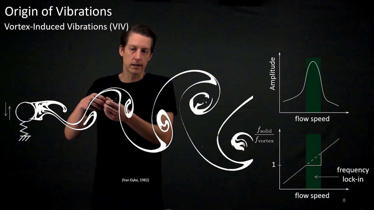 Vortex-Induced Vibration of Soft Corals for Improved Food Capture - SICB talk