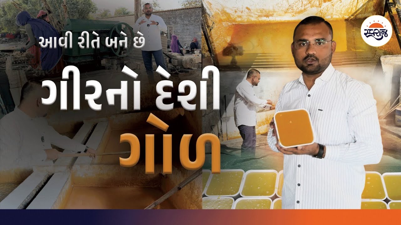 આવી રીતે બને છે ગીરનો કેમિકલ વિનાનો દેશી ગોળ | Jaggery Making In Factory - Gir