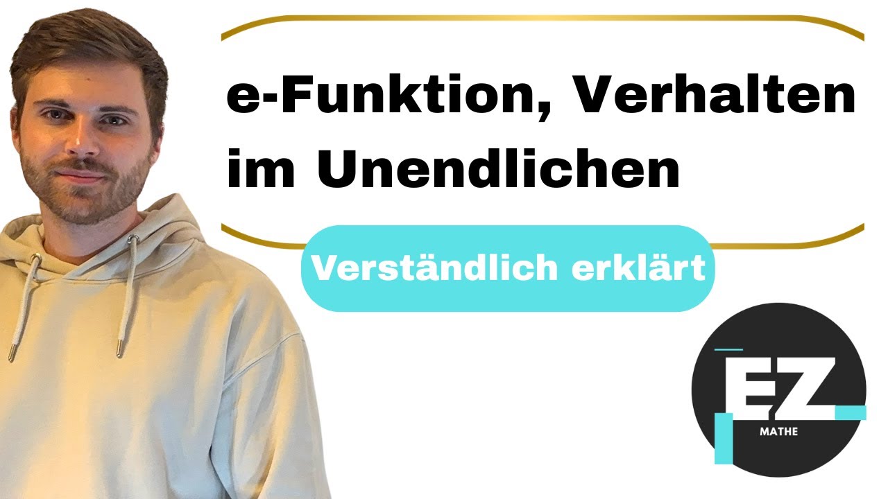 e Funktion, Verhalten im Unendlichen, Grenzverhalten | Verständlich erklärt