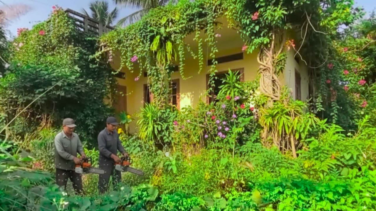 The horrifying secret behind the wall and weeds: Don't watch if you're faint-hearted -- cleanup