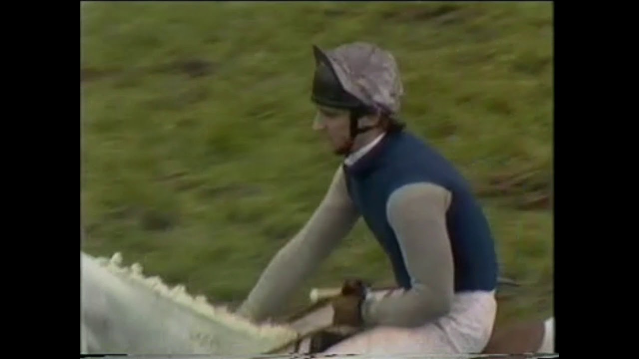 Desert Orchid 1989 Cheltenham Gold Cup Chase Extended footage Desert Orchid