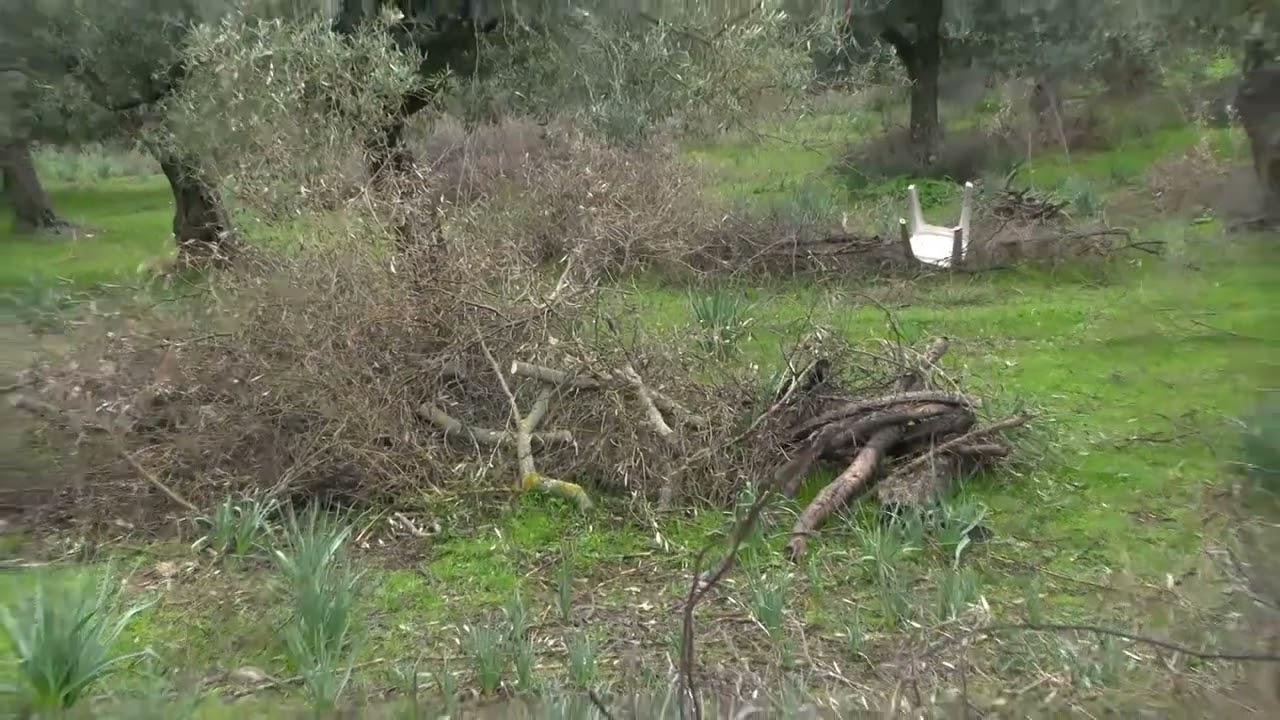 Ortueri. Omicidio nelle campagne del paese. Indagano i carabinieri del Comando provinciale 08 01 23