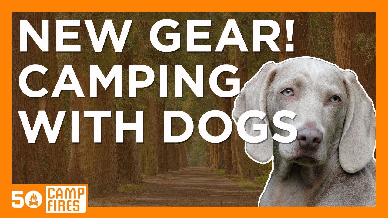 7 New Products For The Camping With Dogs : Outdoor Retailer Pet Products