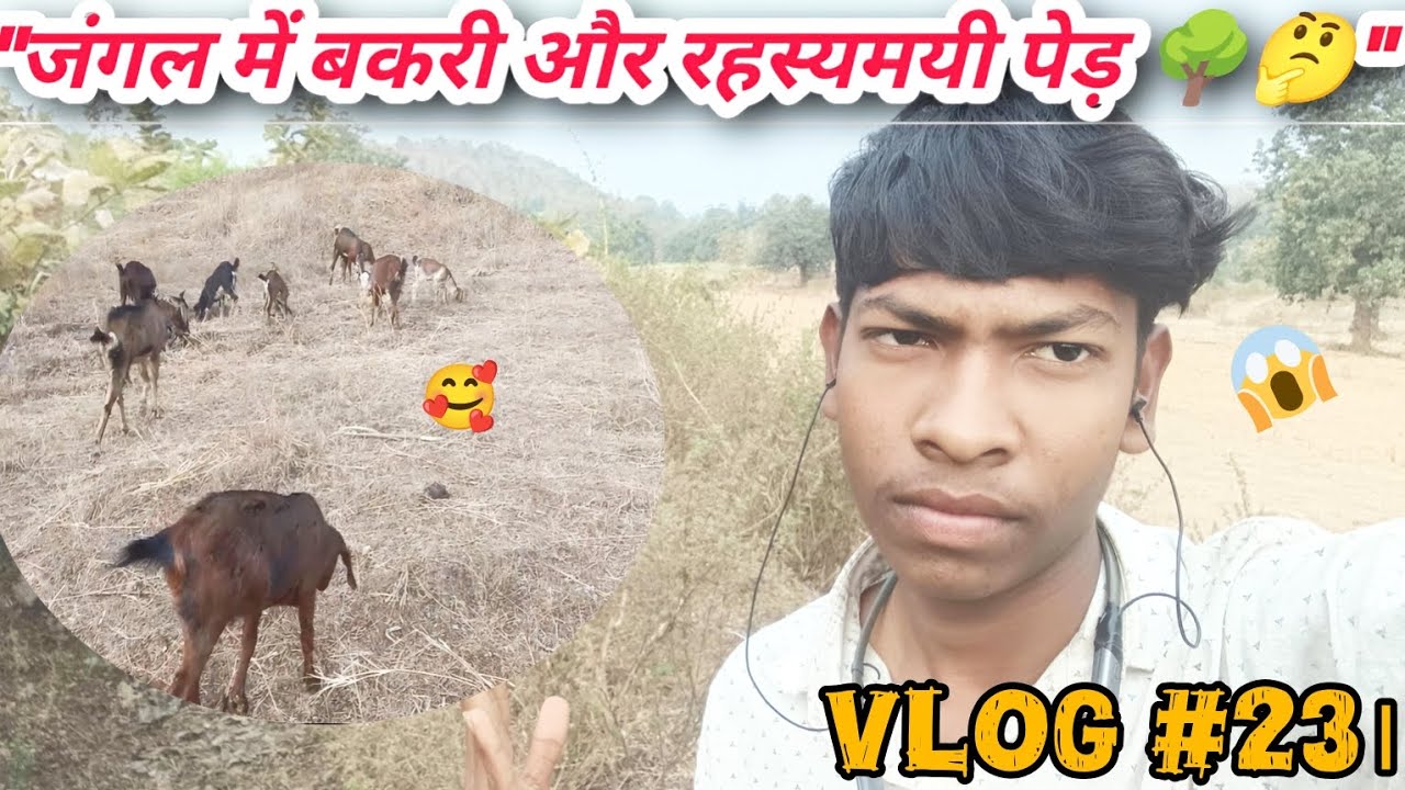 आज पूरा दिन जंगल में बकरियों के साथ 🐐| रहस्यमयी पेड़ और कांटों भरा रास्ता | Jungle Boy Samit Vlog #23