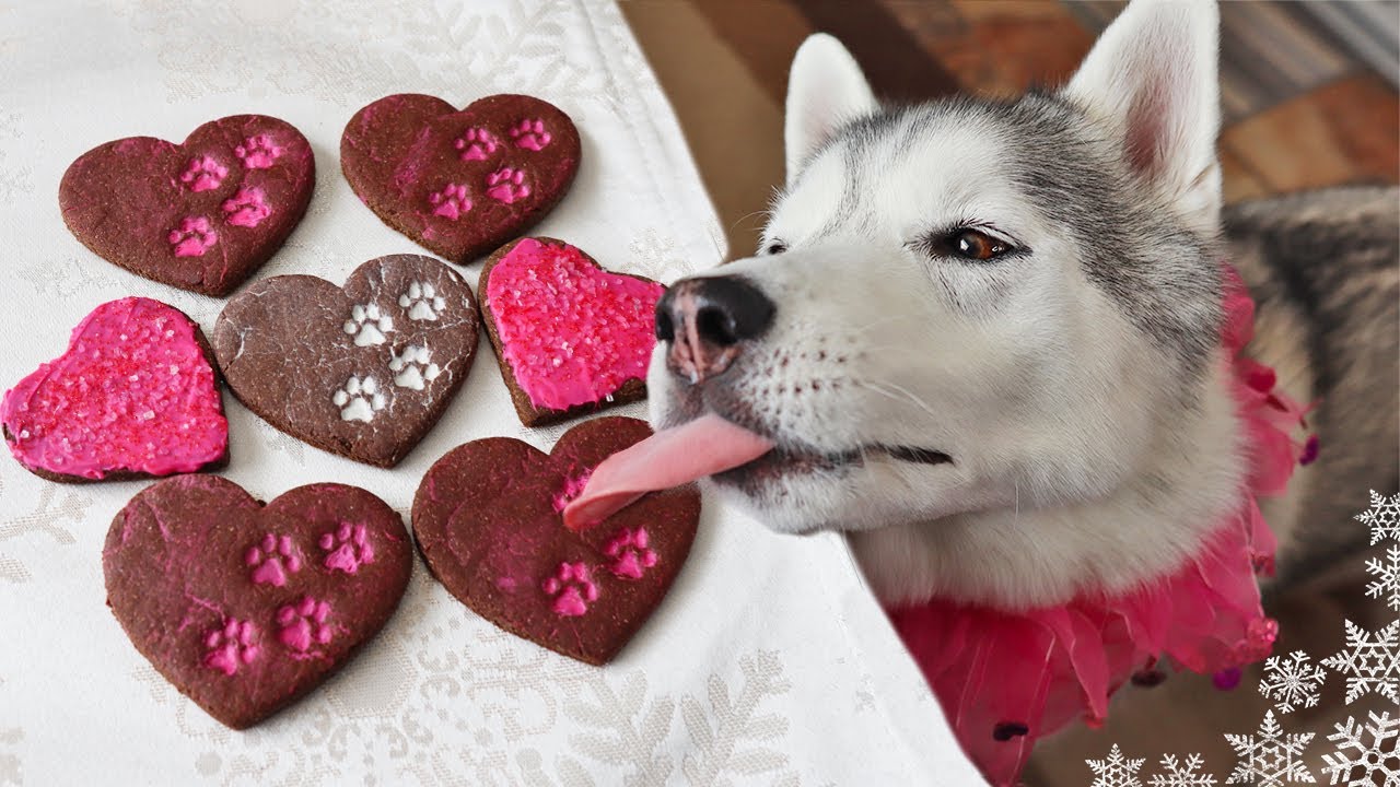 Chocolate Cookies For Dogs 💗 DIY Valentines Day Dog Treats