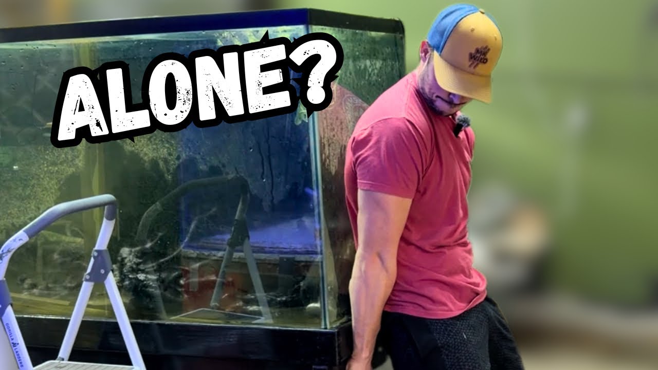 Moving My 300 Gallon Tank ALONE... What Could Go Wrong?