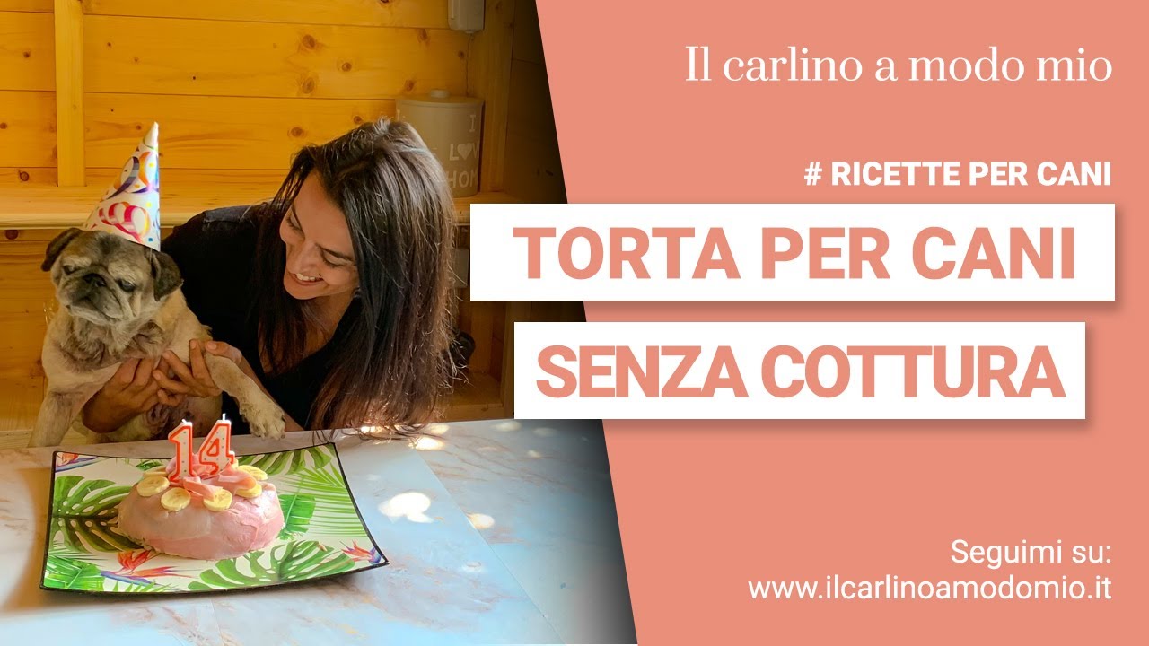 TORTA di compleanno PER CANI senza cottura e senza bilancia | Il Carlino in cucina