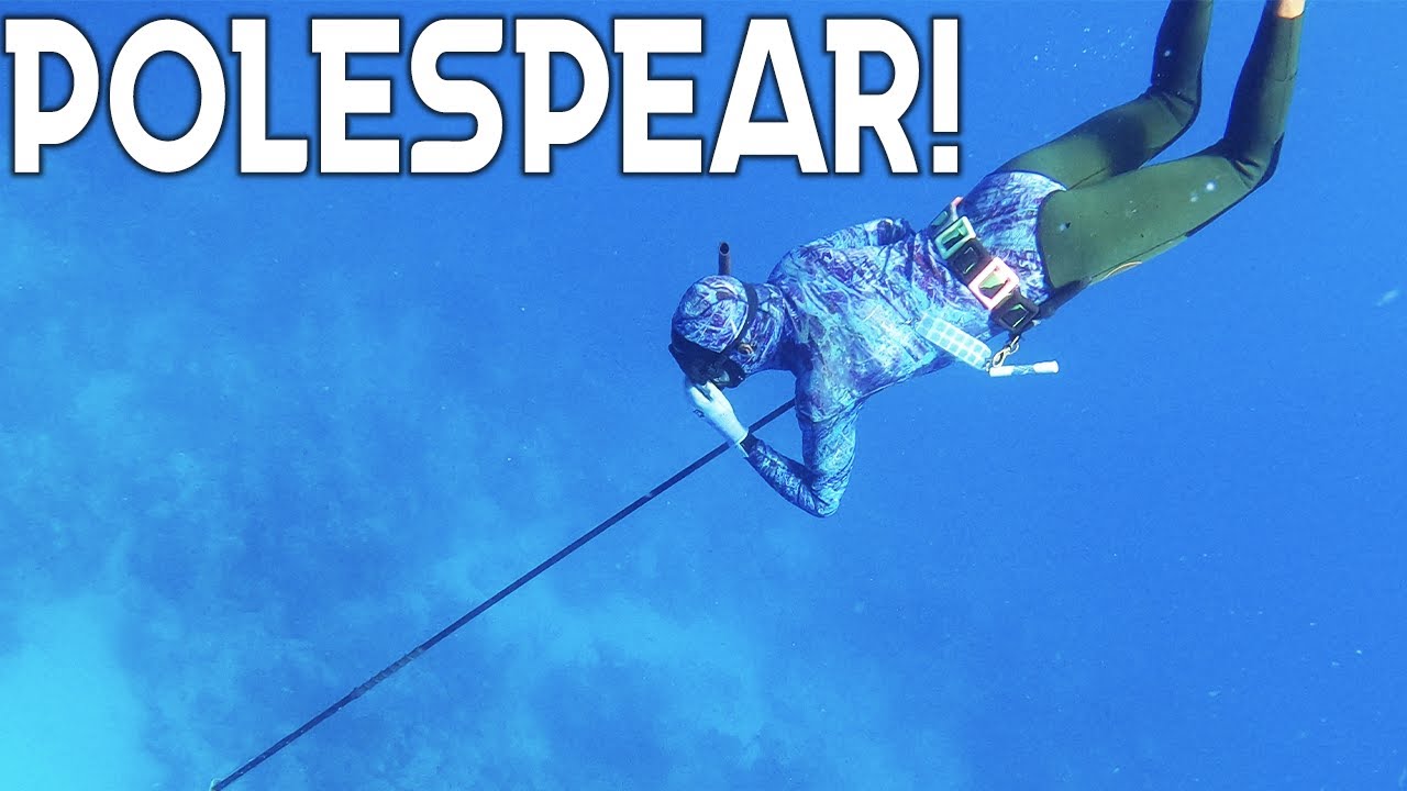 Becoming A PRO With A POLESPEAR!!