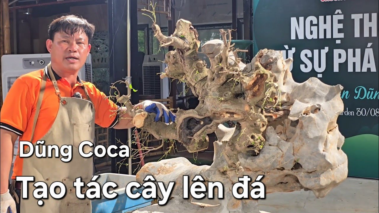 Anh Dũng coca biến củi thành cây tại trung tâm tạo tác Bill Nguyễn