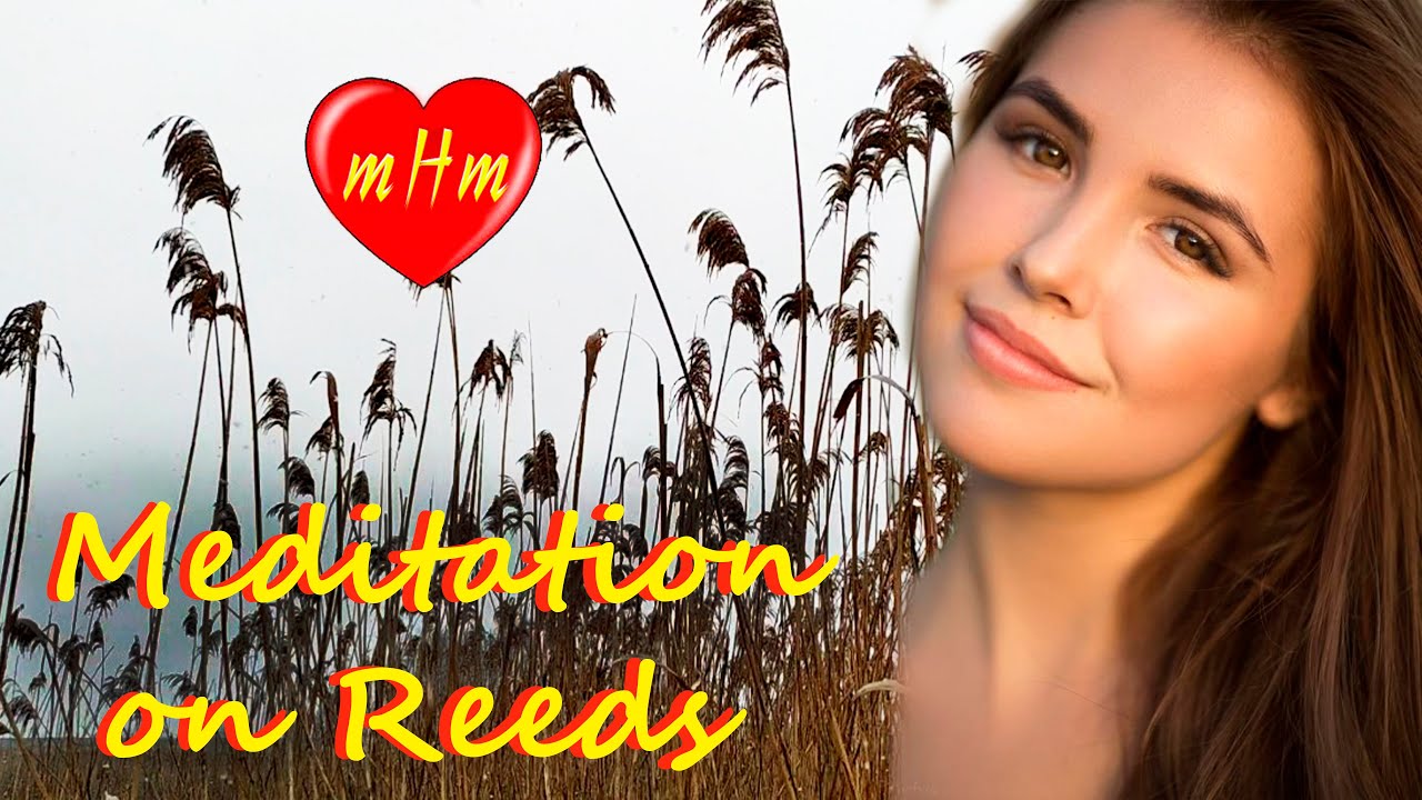 Musical Therapy: 🤷&zwj;♀️Snow, wind, reeds-Natural Sounds - healing and self awareness 💖is your result.