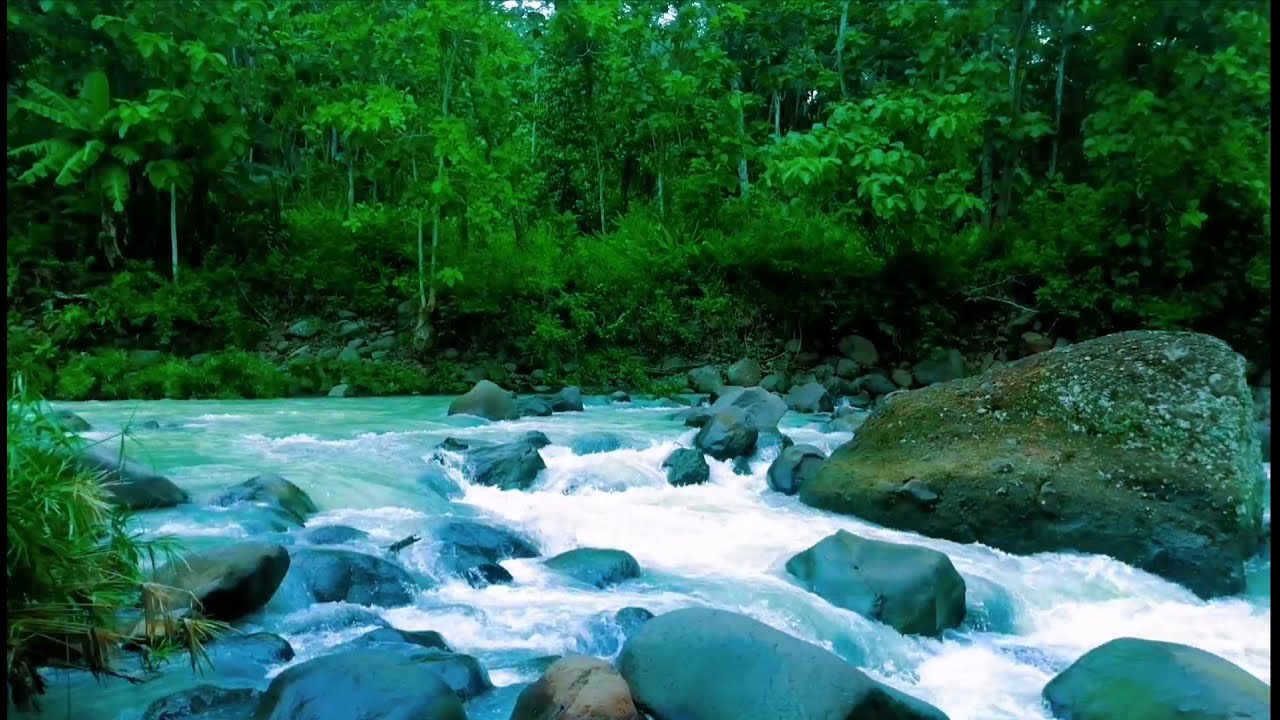 Tranquil River Ambience – Soft Stream and Forest Sounds for Deep Sleep and Inner Peace