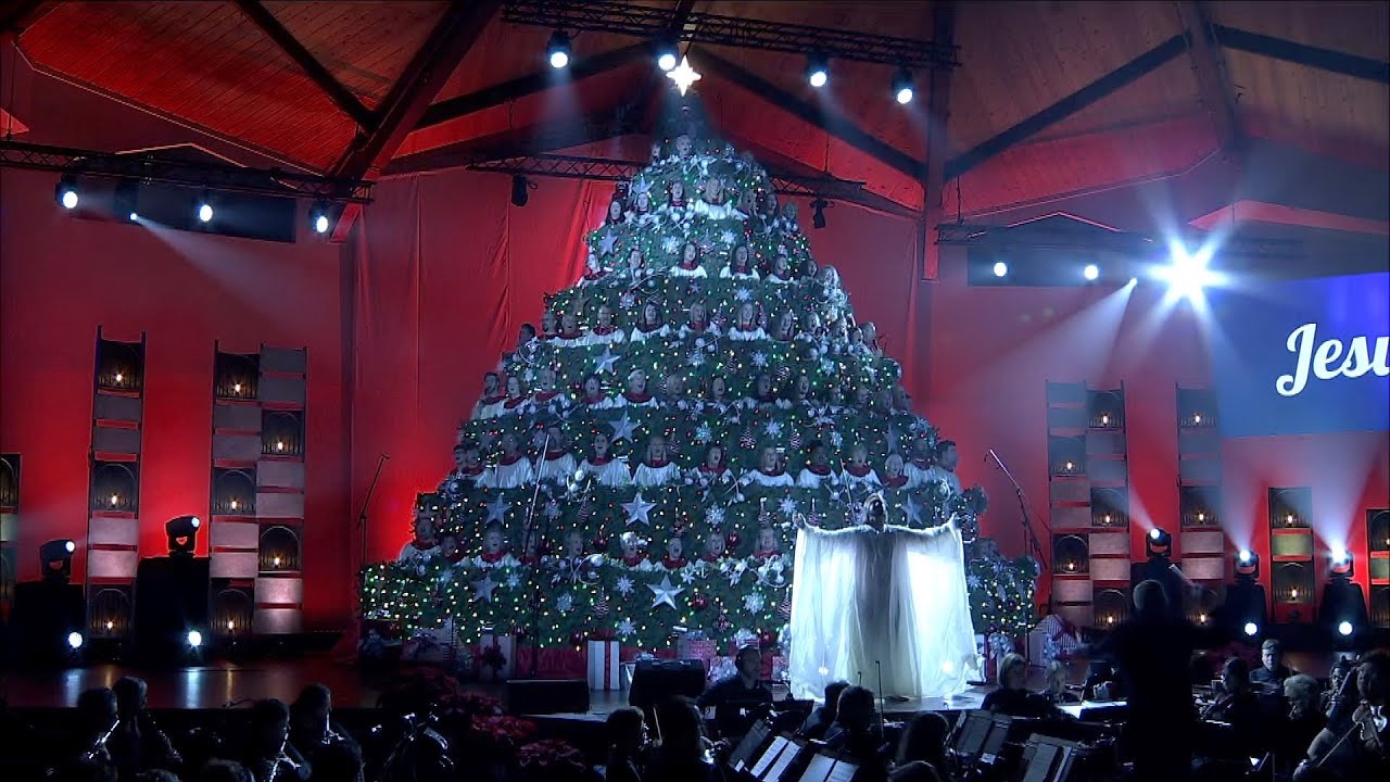 44th Annual Singing Christmas Tree