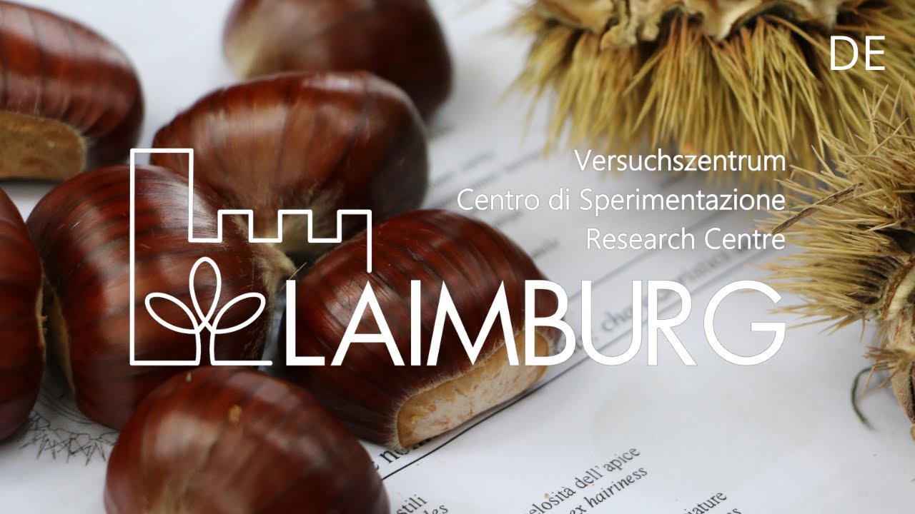 Campus | Kastanienanbau