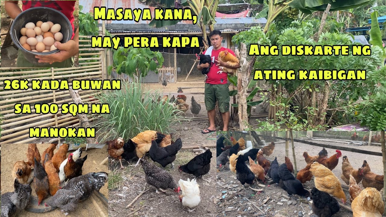 MASAYA NA, MAY PERA PA | P26,000 KADA BUWAN SA 100 SQ METER NA MANOKAN | DISKARTE NG ATING KAIBIGAN