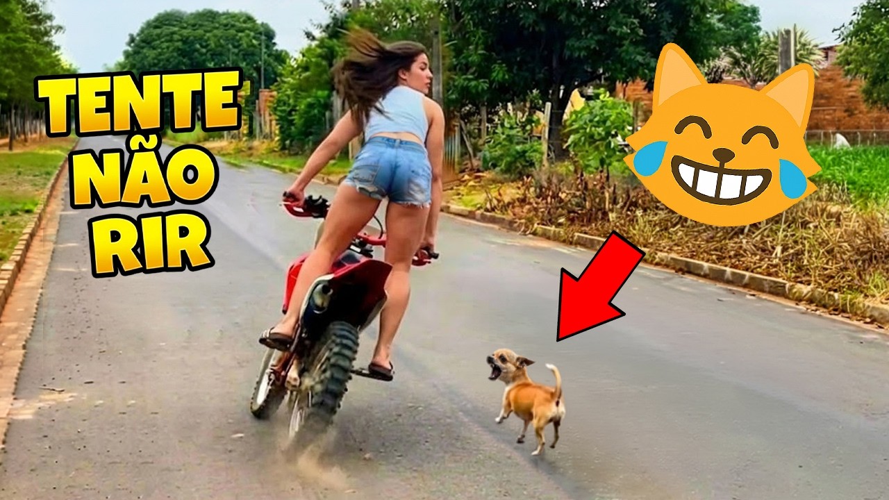 SE RIR JÁ SABE! 😂 VÍDEOS ENGRAÇADOS E MEMES 2026