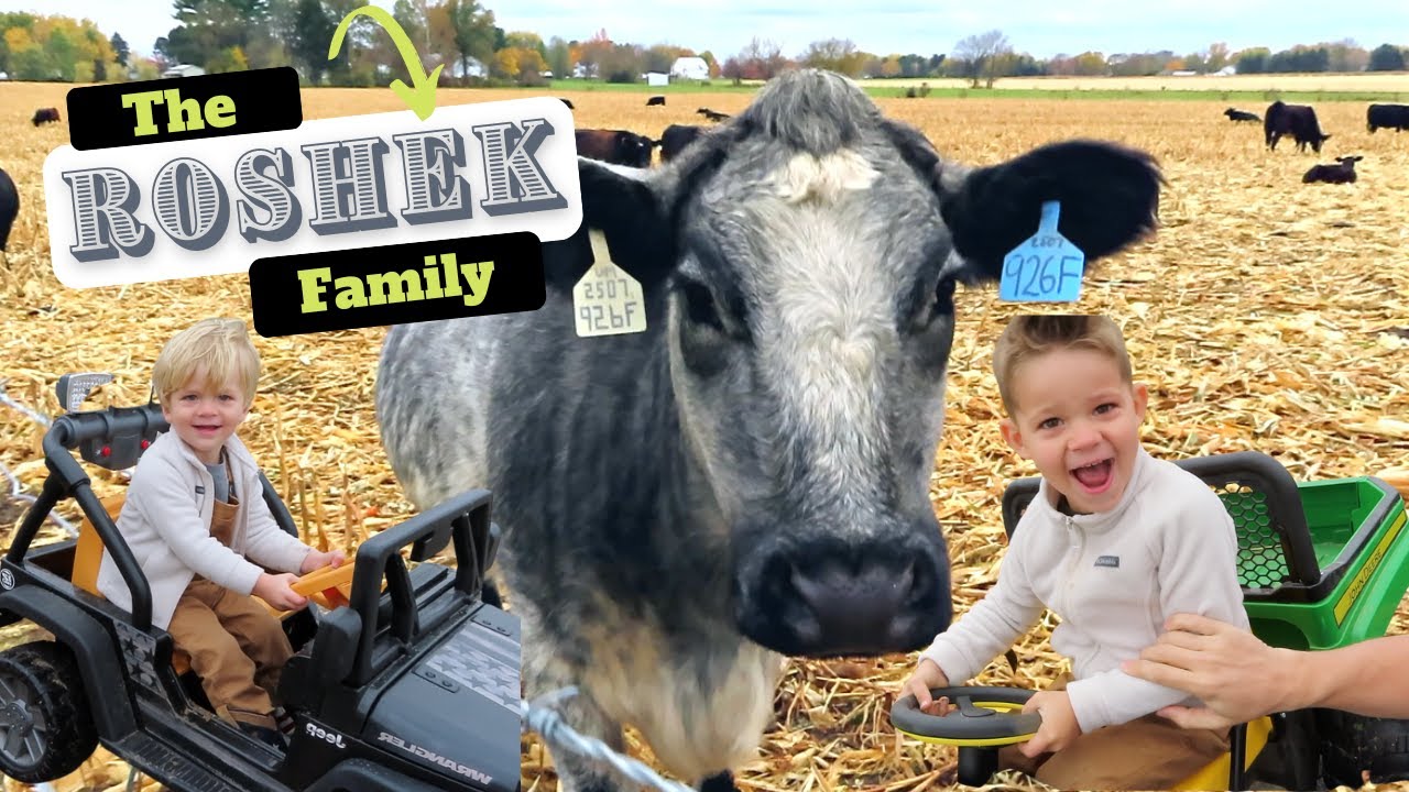 The Roshek Family! KIDS EXPLORE FARM TOYS/POWER WHEELS/COWS!