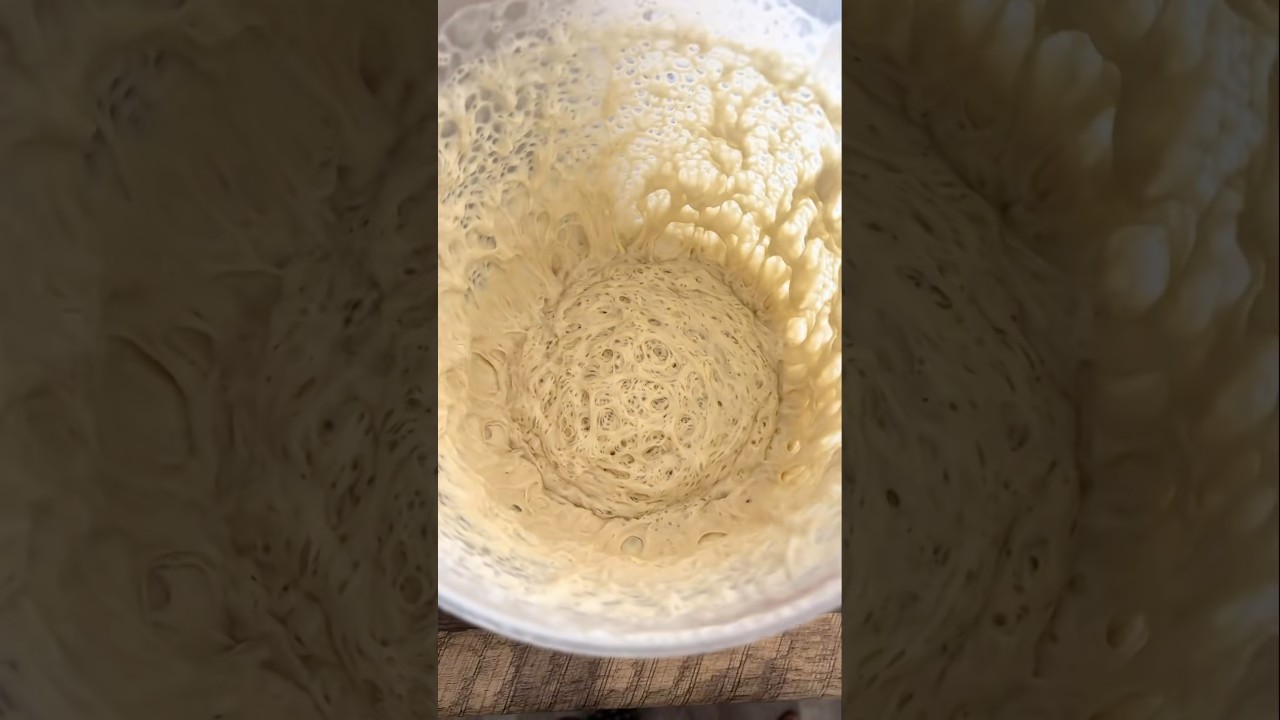 Lionfield ranks SOURDOUGH ASMR