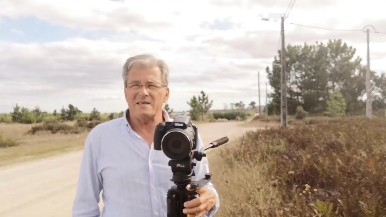 Fotografar Pássaros com a Nikon P1000