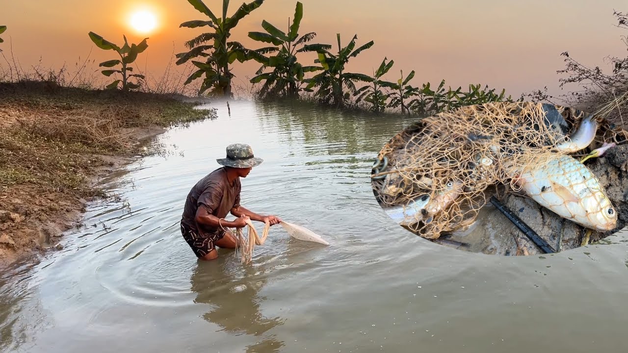 ការចិញ្ចឹមជីវិតបែបស្រុកស្រែ ម៉ាប្រឡាយ បង់តែម្នាក់ឯង ហើយសម្បូរត្រីតាអោន