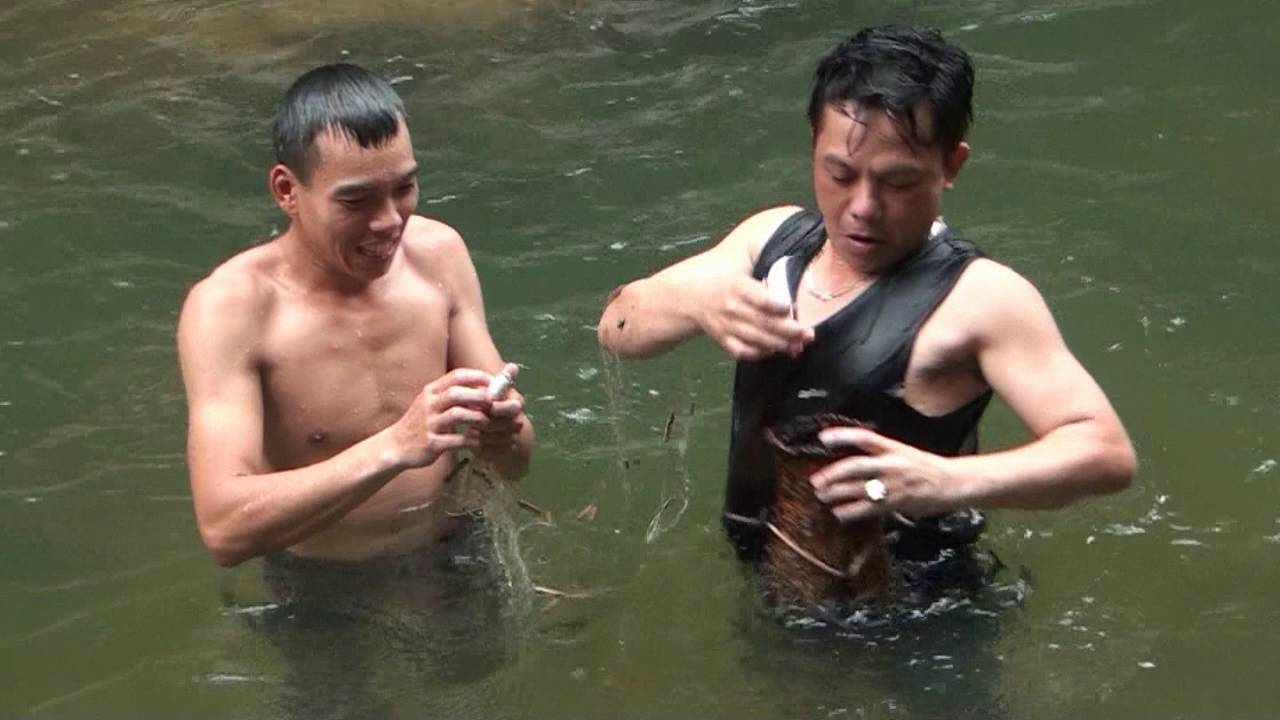 KHÁM PHÁ RỪNG NGUYÊN SINH VQG PÙ MÁT
