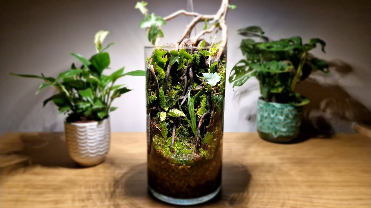 Drip Wall Terrarium